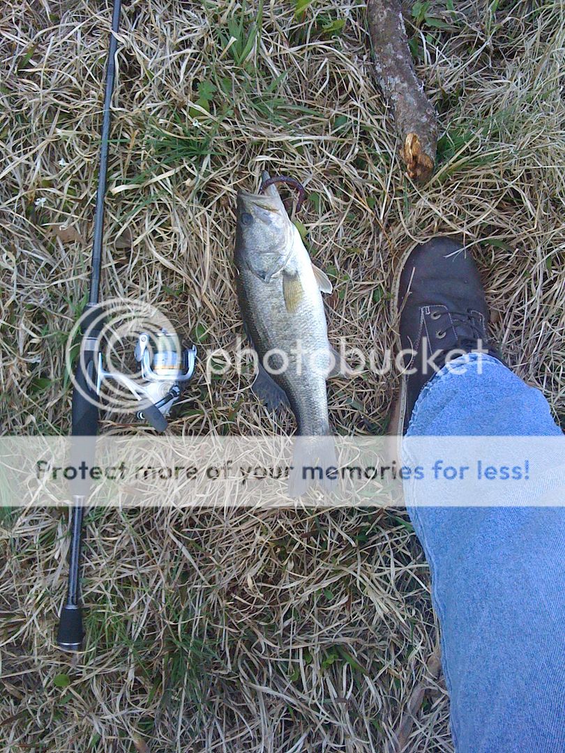 Field & Stream Tec Spec Rods Forums